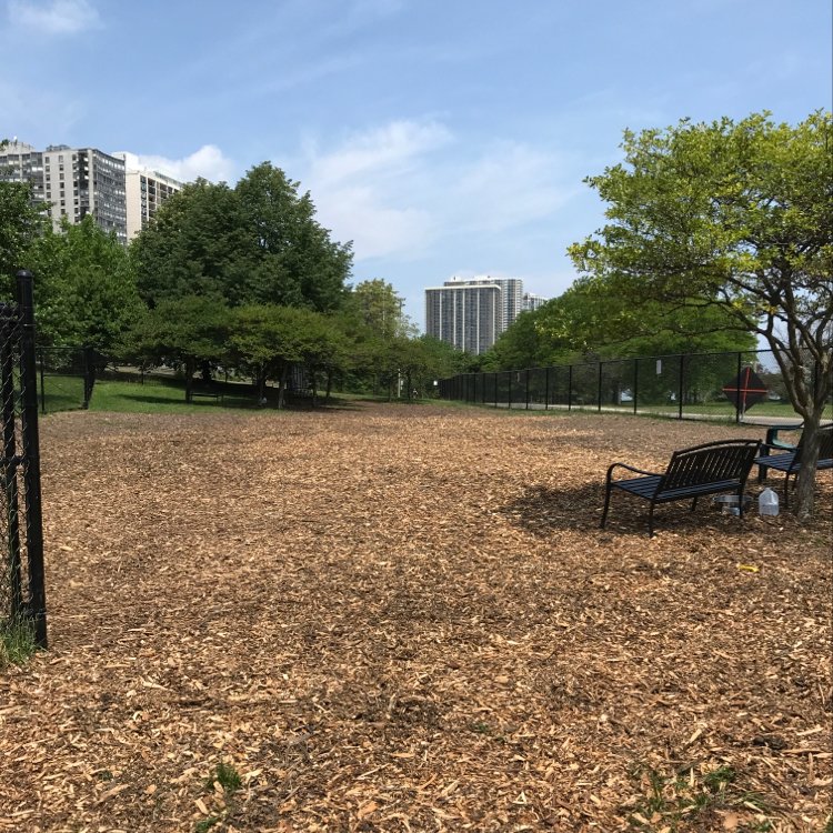 EdgewaterDog's tweet image. Due to excessive heat, Edgewater Dog Park “Play Ball!” Party rescheduled for Sunday July 1 from 5-7PM. Prizes! Treats! Balls! Come &amp;amp; support your local dog park! #toodarnhot #dogpark #edgewater #dogslife #volunteers #playball