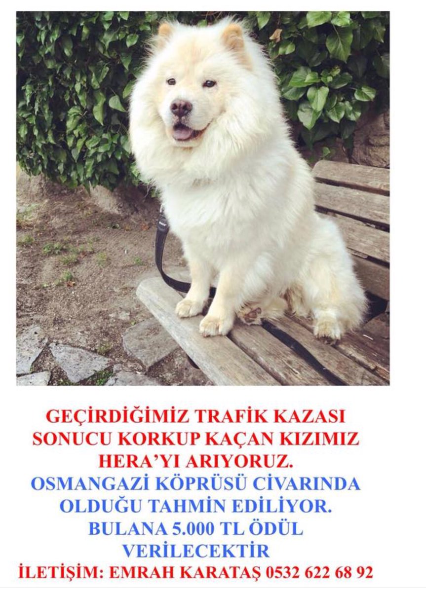 @bernalacin35 <a href="/gonca_vuslateri/">Gonca Vuslateri</a> <a href="/didem_soydan/">didem soydan</a> <a href="/hayhaksaygi/">HayvanHaklarınaSaygı</a>