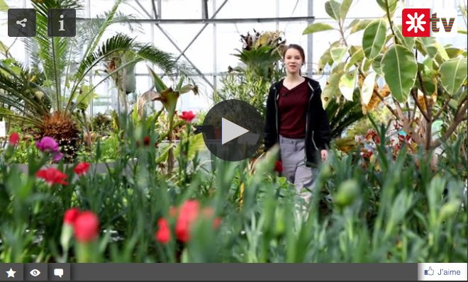 Onisep Nouvelle-Aquitaine tweet media