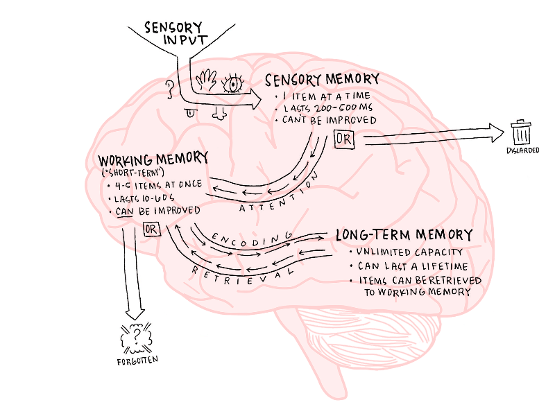 growdashboards's tweet photo. When you know how our brains want to process information, you can make better charts, graphs, and other visualizations. https://t.co/OYkHQmdI2q https://t.co/QhldqqUYiP