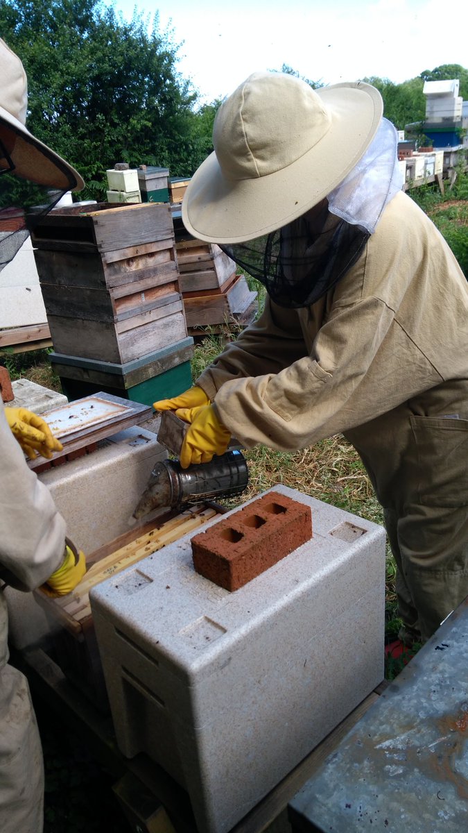 wouterpoortinga's tweet photo. Here are the @WSofArchi aspiring #beekeepers on a training session to help out with @BeesBute on top of the #ButeBuilding https://t.co/7jUM9Eg0T6