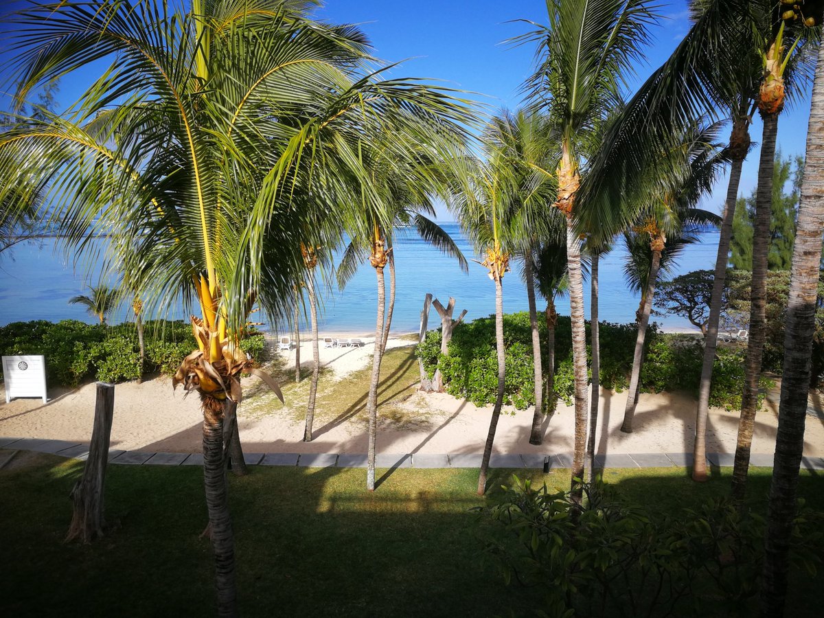 anzelle77's tweet photo. #RiuCreole #Mauritius https://t.co/eqQgUo10SZ