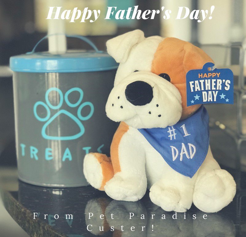 PPRCuster's tweet image. Shout out to all the Fur Father's Happy Father's Day! 💕🐾☺️🐶🐱💖 #fathersday #petparent #SundayFunday #petresort