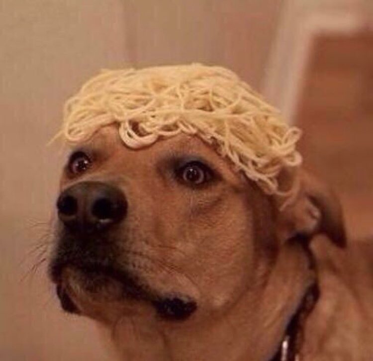 NOT_MOTD's tweet photo. Who wore it better?

RT for the dog
Like for Neymar

#WorldCup https://t.co/fj6QjDzxlq