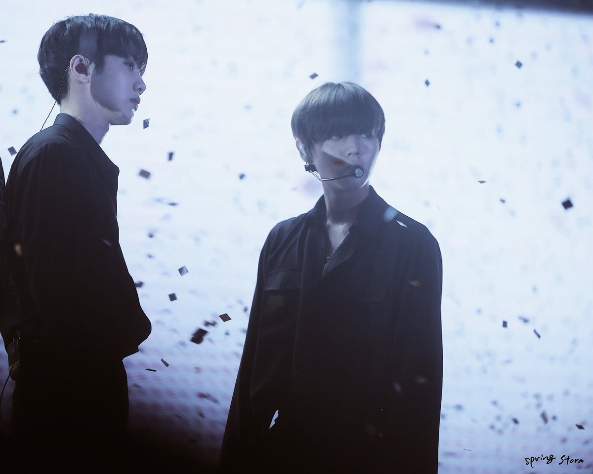 quynhnga_197's tweet image. #판윙은사실이다