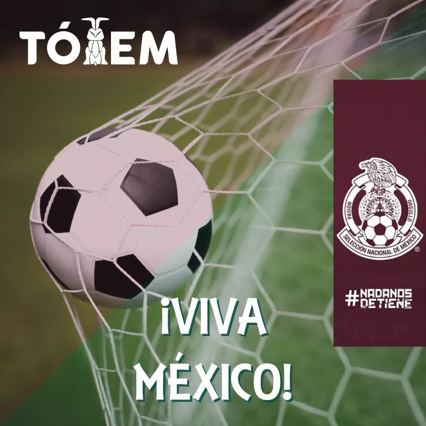 #MexicoVsAlemania #Mex #VamosMexico