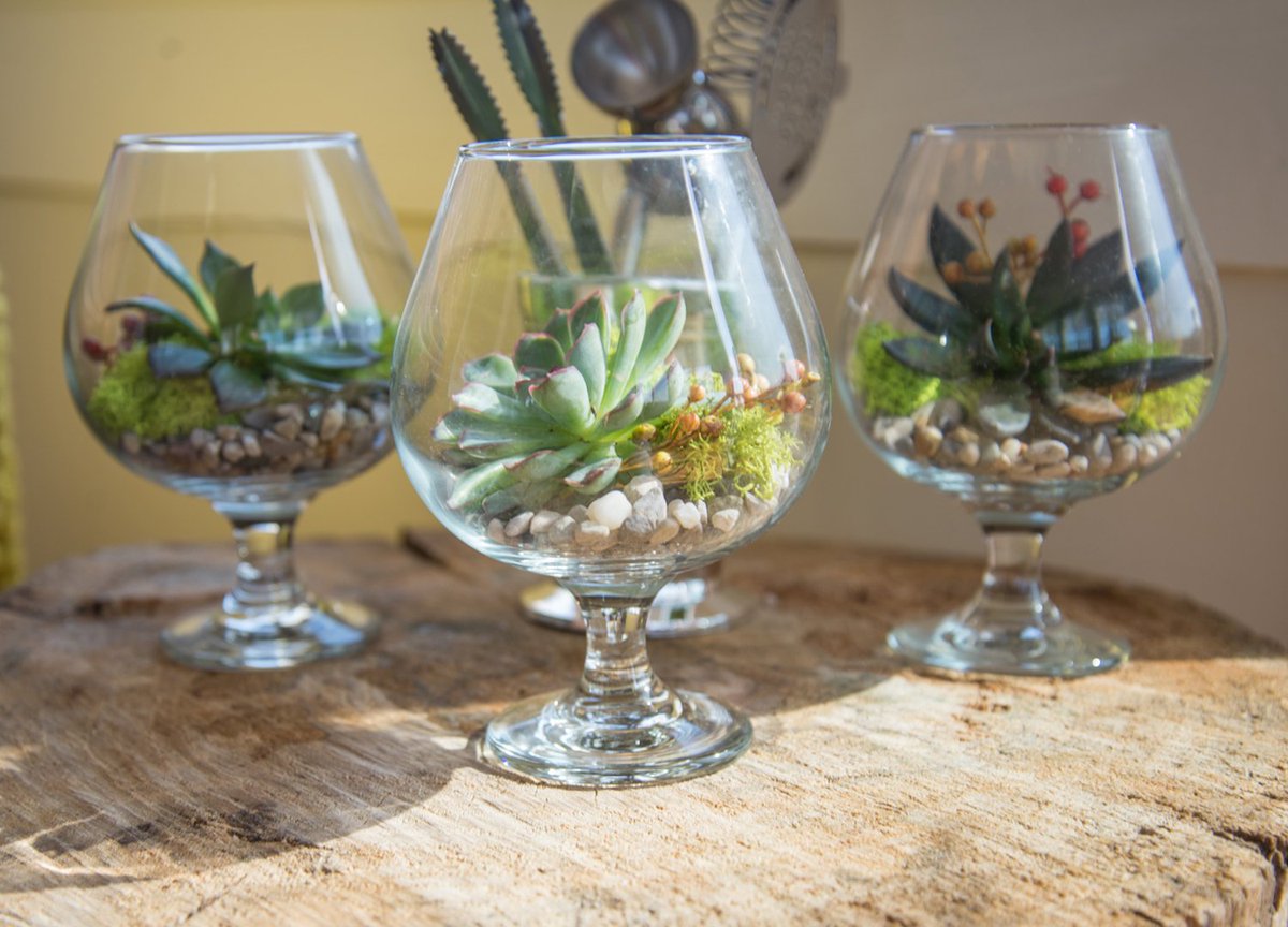 SyndicateSales's tweet photo. Raise a glass to all the Dads out there! #HappyFathersDay
. . .
📷: #3709 Brandy Glass
.
.
.
#mysyndicatestyle #SyndicateAmericanmade#madeintheusa #americanmade #originmatters #HappyFathersDay #brandyglass https://t.co/Qz7fYE5F6e