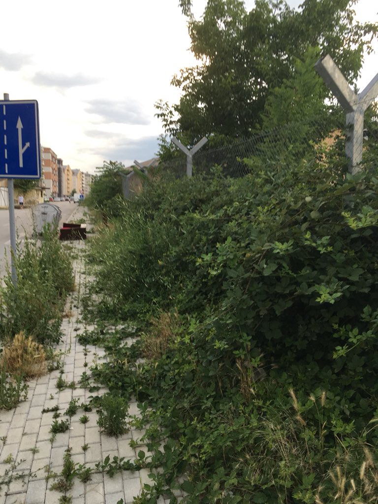 Afroks's tweet photo. Ова е @OpstinaAerodrom во #Скопје. Ова треба да се тротоари на улица која е релативно нова и по нив треба да одат пешаци. Кажа Златко Марин дека зеленилото ќе му е приоритет и тоа се гледа на дело. #ЈавенПростор https://t.co/X1MmH2nV3j