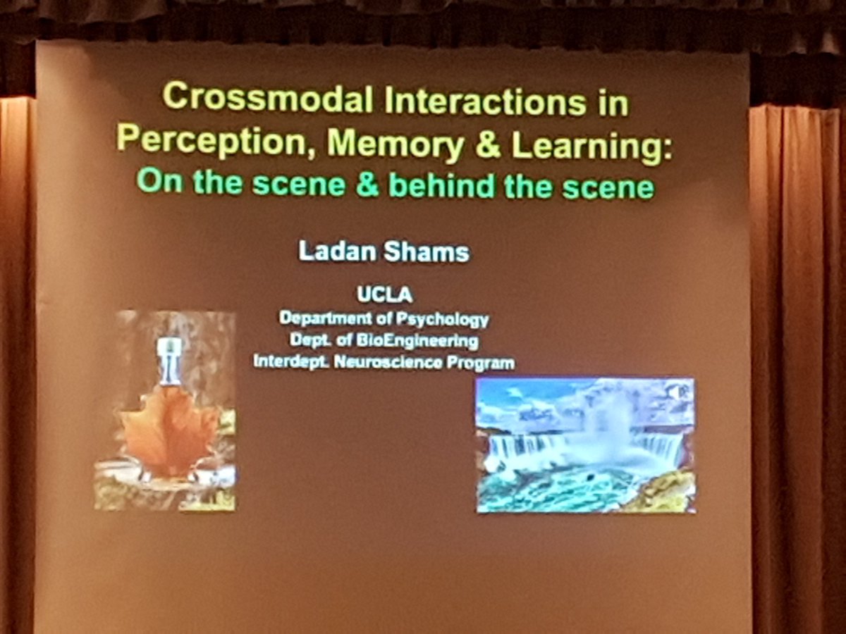 Dr Em Williams tweet media