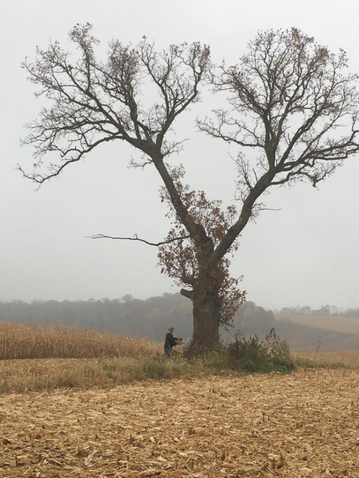 AmyP5204's tweet photo. Three months before THE WITNESS TREE is launched! Hiddya!
#wiseinkpub #indieauthors #amediting https://t.co/J9Cr69Mnc5