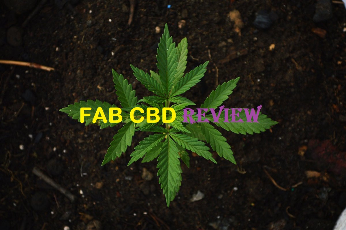 thecbdcircle's tweet photo. Fab CBD Review - The No.1 CBD Brand Online in 2018!😇😍💛 @FabCBD https://t.co/ut6JSA9k8W
#cbd #cbdoil #hemp #hempoil #cannabis #weed #marijuana #stoners #weedsociety #fabcbd #cbdbenefits #cannabiscommunity https://t.co/CGQbPdDm6r