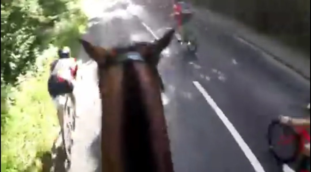 dekashoko's tweet photo. cyclists are the absolute worst don't @ me. #WindsorTri https://t.co/uE65aip3Y9