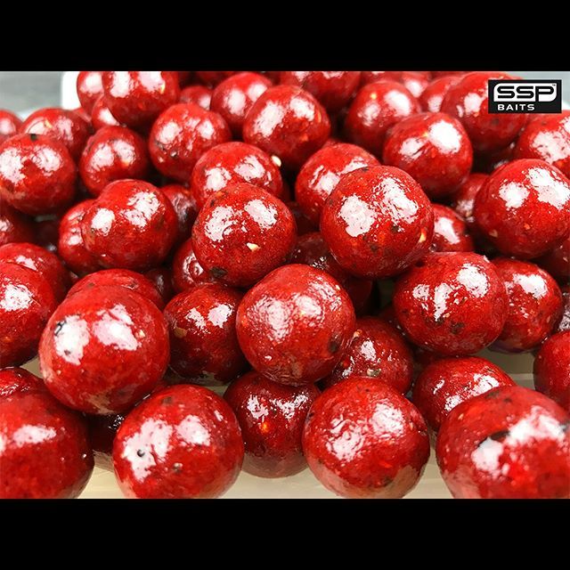 sspbaits's tweet photo. ***AVAILABLE NOW!!! – THE MONSTER-X FISHMEAL RANGE***
.
CLICK THE LINK IN OUR PROFILE FOR MORE INFO ON SOME GREAT DEALS!
.
Here at SSP HQ we are always looking at improving and introducing NEW products and ranges that either complement our existing produ… https://t.co/awgIV10GCT https://t.co/7PHtGLTIIo