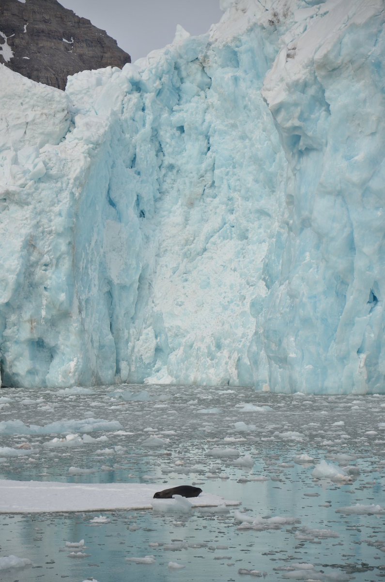 joula_s's tweet photo. A piece of the #Arctic experience! @UNISvalbard #ESACTC18 https://t.co/oZQOw43kip