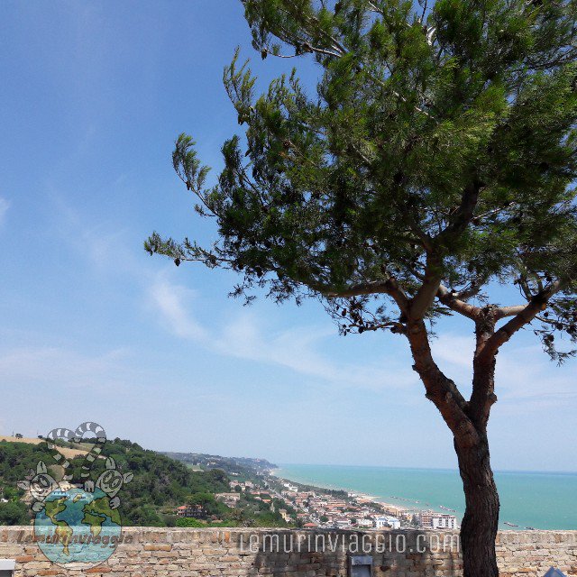 Sarei rimasta ore ad ammirare  questo panorama 💕
Ringrazio <a href="/MarcheTourism/">Marche Tourism</a> per avermi fatto scoprire questo meraviglioso angoletto delle #marche.
#cupramarittimaphotowalk #DestinazioneMarche