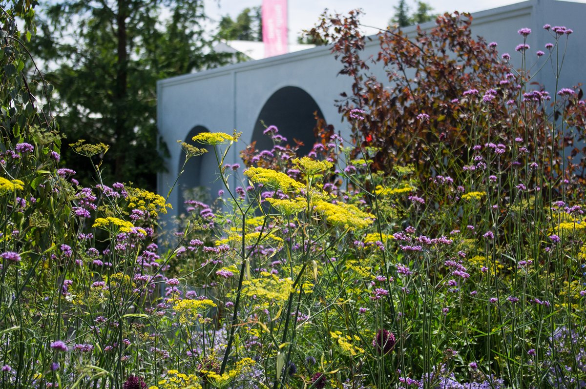 Tim Howell tweet media