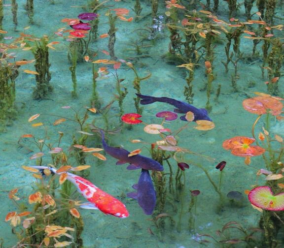 Merve_Yigit_'s tweet photo. Japonya'daki "Monet Gölü"

Görüntüleri önce resim sandım, gerçekmiş. Zaten göl Monet tablolarına benzerliği ile bu ismi almış. Güzelliğinden ağlamalık. https://t.co/BHJbVjVg4o