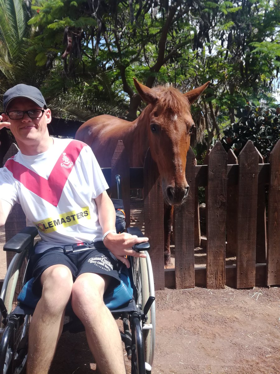 #### your Honda civic I've a horse outside 😂😂