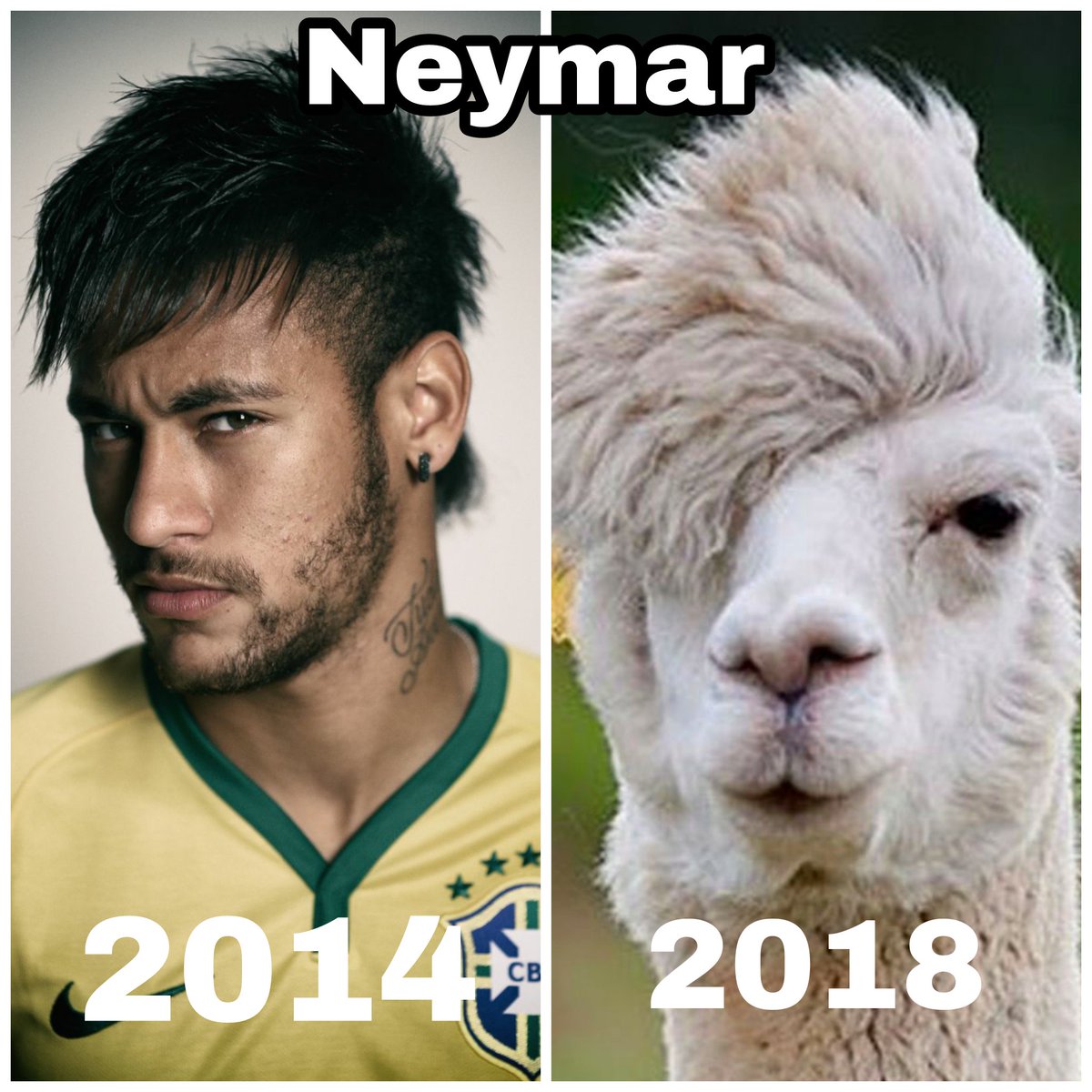 la mini pan (@la_minipan) on Twitter photo 