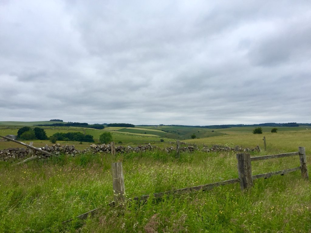 DanielCMartin1's tweet photo. A great #social today @ButterfliesEM #HoeGrange meeting many old faces & some new,many highlights inc Blotched Emerald #moth, #Orchids & DarkGreenFritillary nearby. Best find was a local scarce singing Corn Bunting after in the #Peak @Derbyshirebirds @BirdsDerbyshire @Mightychub https://t.co/LsMCArBC1o
