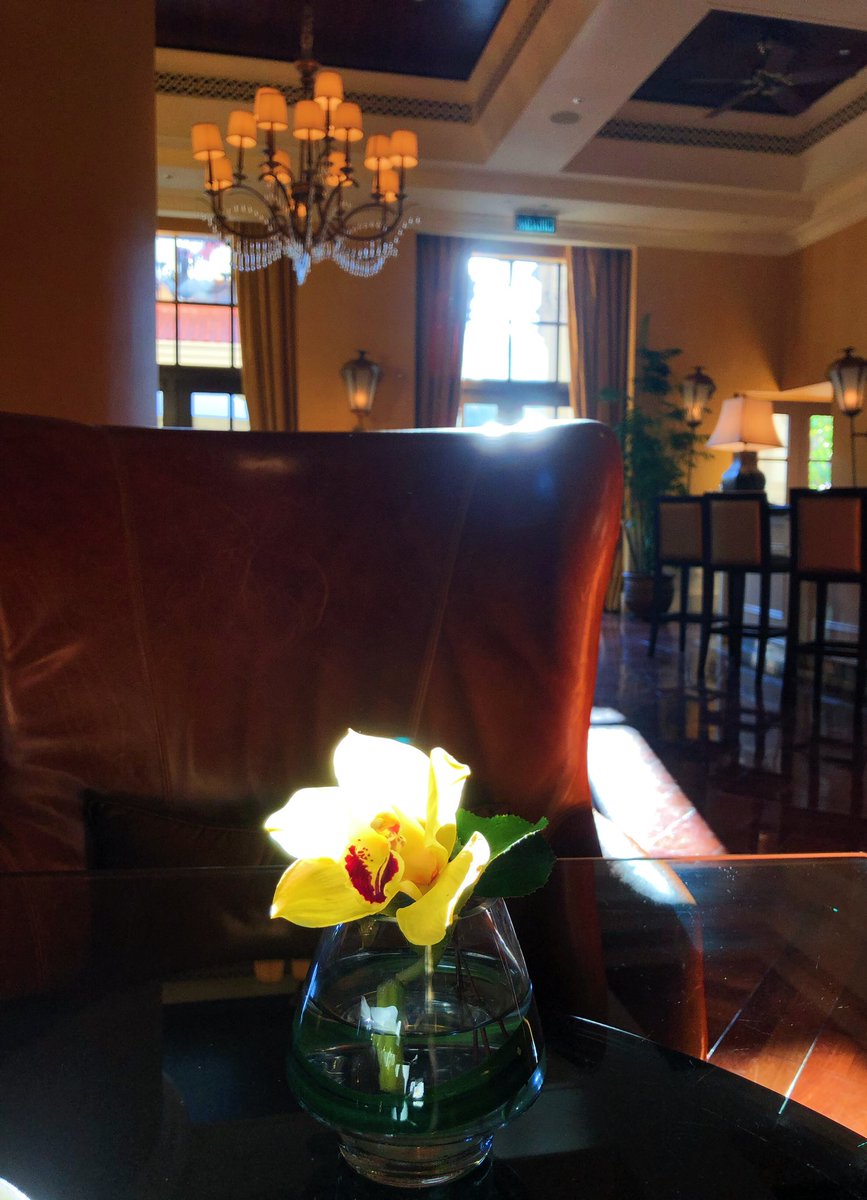 jennerwent's tweet photo. The light✨ https://t.co/0rtP07NaZ3