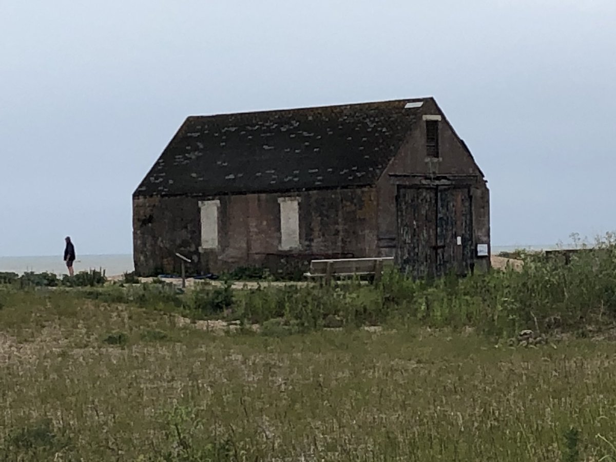 JoannaBarry8's tweet image. Day 17 walk done today a breezy 4.12 miles @Winchelseabeach a total of nearly 60 miles so far. If you would like to donate to support Scleroderma research please see my Just Giving page justgiving.com/Joanna-Barry1 #KnowScleroderma  #SclerodermaAwarenessMonth @WeAreSRUK