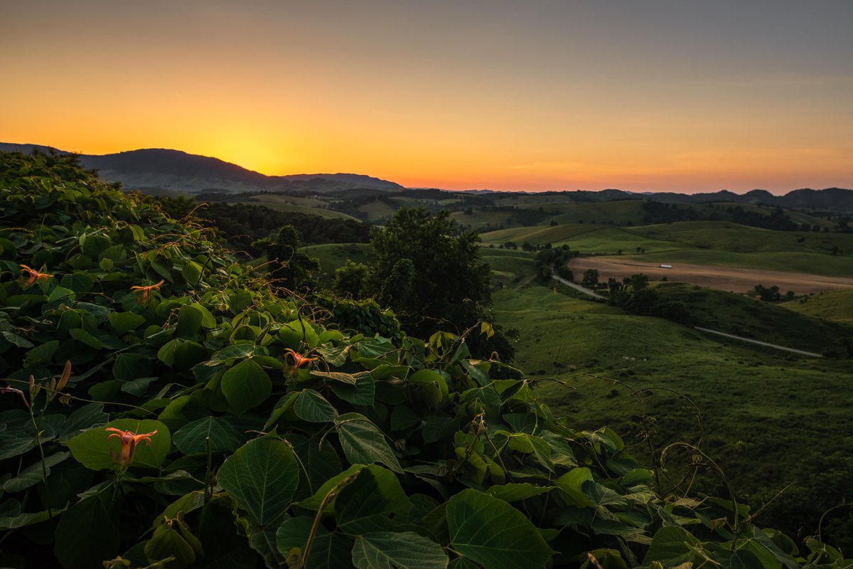 babowling12's tweet photo. Back of the Dragon Sunsets simply do not get old. 🙌🏻

📍Tazewell, Va

#loveva
#swva https://t.co/rS6qOrZIkz
