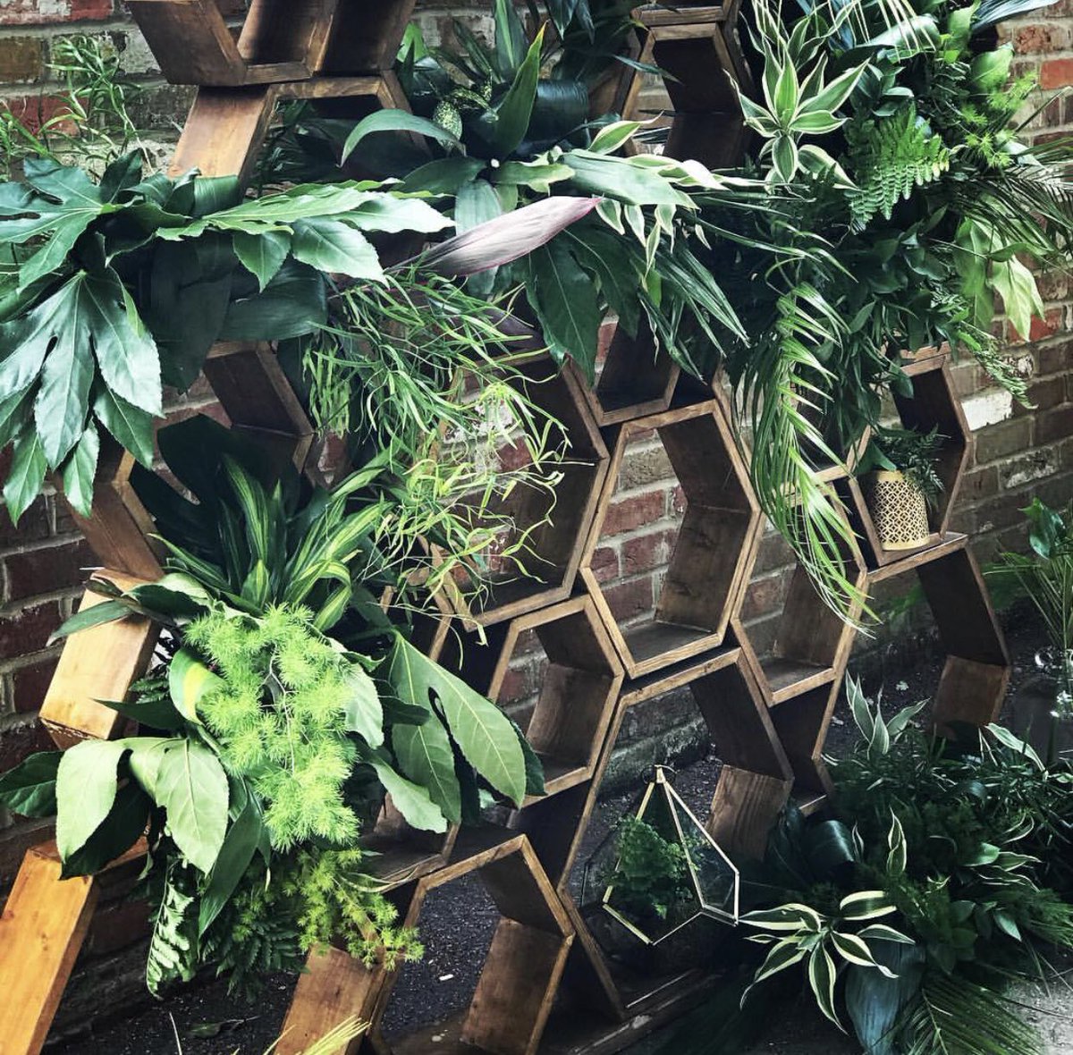 events_wild's tweet photo. Club Tropicana drinks are free... That’s all we have to say! The honeycomb backdrop can say the rest! #weddingprops #WeddingEvents #weddinginspiration #hireme #eventdesign https://t.co/KLjnuylAmp