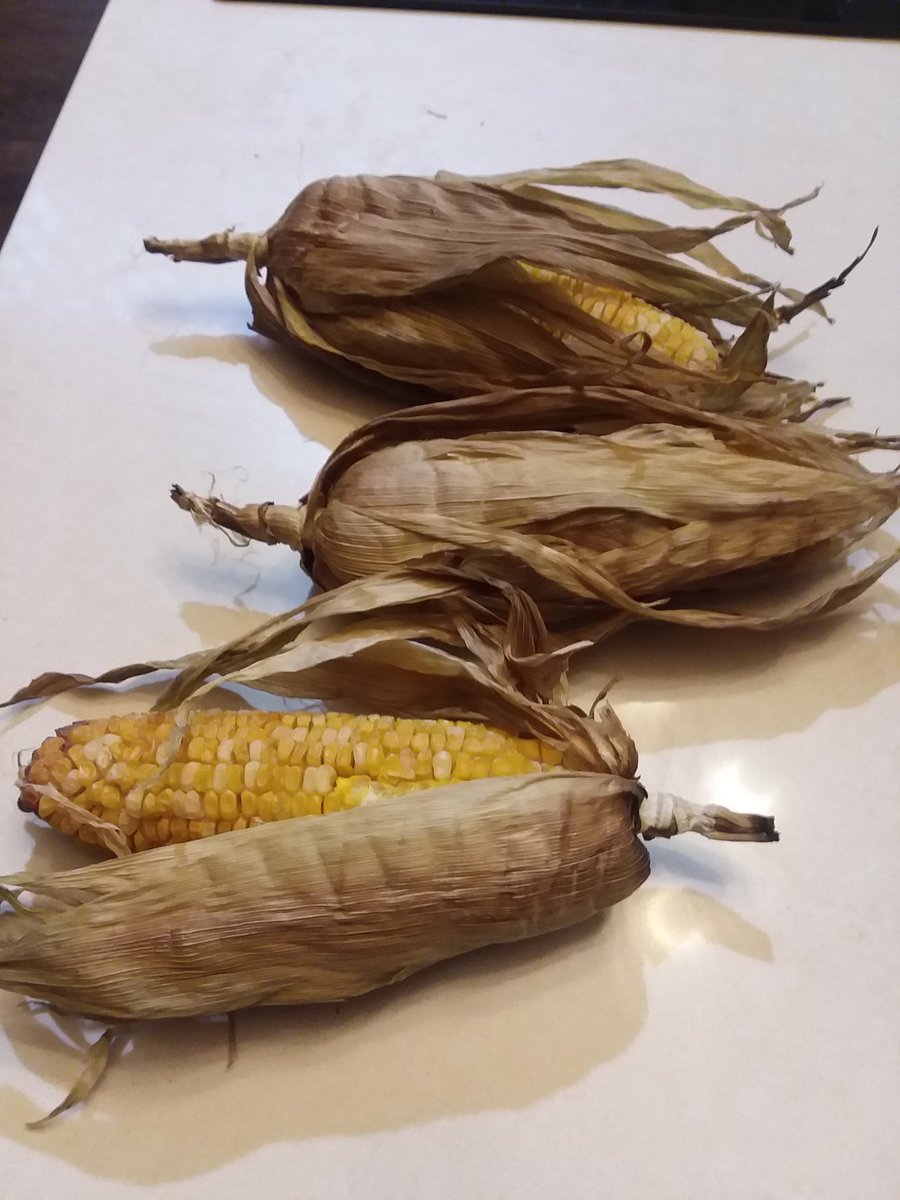 offmygrill's tweet image. Sometimes it's about what you forgot to take off the grill.  3 hours is a little to long for corn.