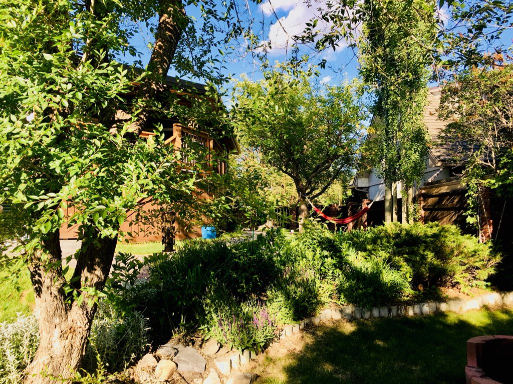 MPelletierCIO's tweet photo. #yyc #backyardchill #fathersdayblessings #nature https://t.co/I5CoMVaGxX