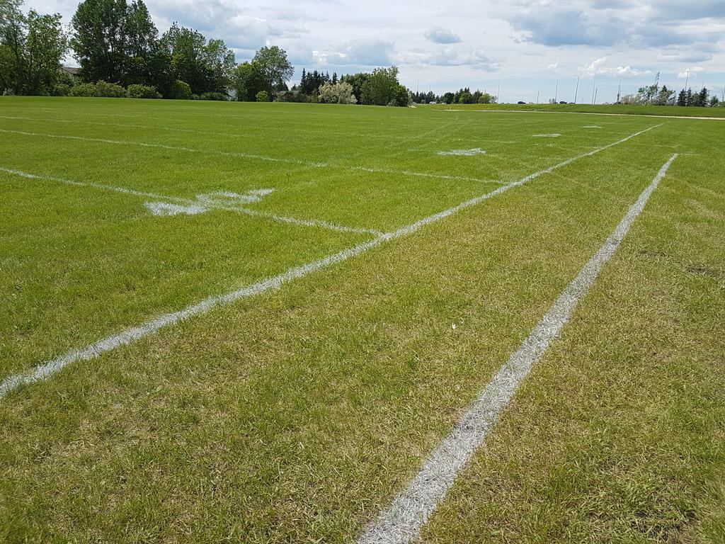 PITFOOTBALL's tweet photo. No rest for the wicked...@ApexLining gets River Elm up and running for this weeks games.  Best field liners in the province providing our teams the #BestGameDayExperience! https://t.co/cT1K6r9ysG