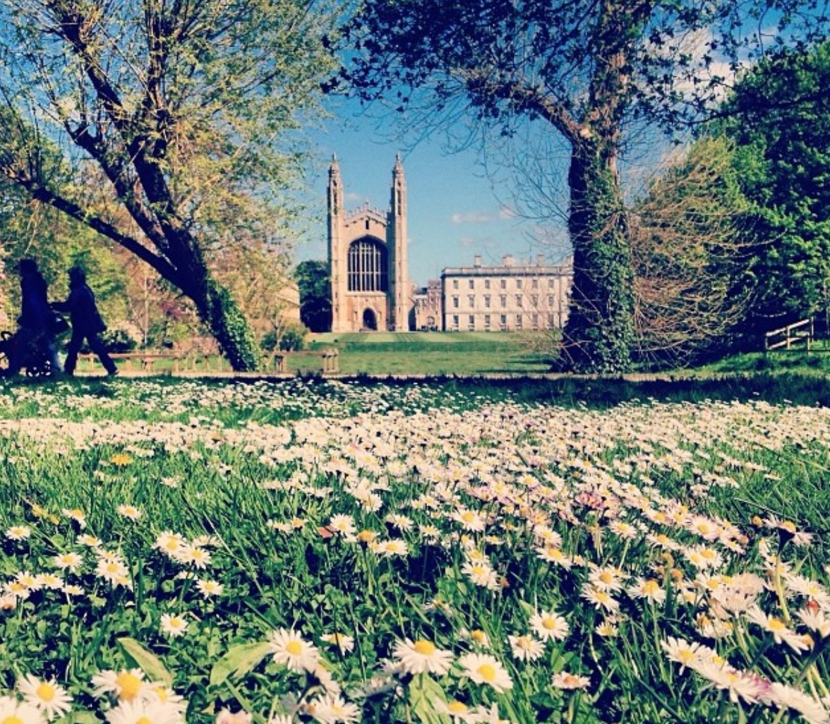 CommonSomething's tweet photo. JOIN US! SAT 30 JUNE for The Body of Cambridge - a guided sensory summer walk lead by an artist, a writer, a perfumer, to discover the power of a communal experience that may inspire feelings of happiness, surprise and wonderment. BOOKING ESSENTIAL!
https://t.co/x3PiEqWxa4 https://t.co/JzImV8P5pM