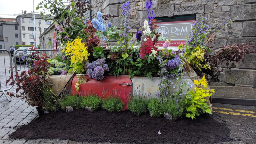 jamspangle's tweet photo. This is how Limerick does a garden festival. https://t.co/bn4w7E5dzy