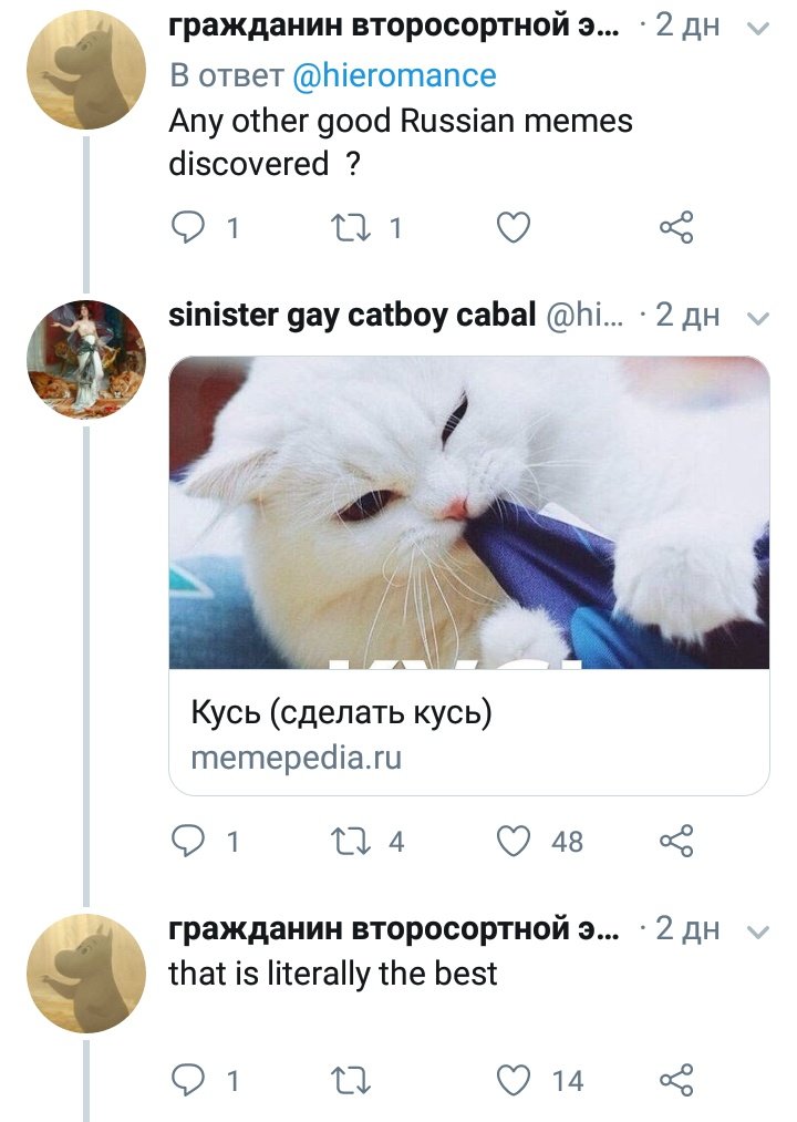 erichmarrria's tweet photo. интернет создавался ради этого https://t.co/LHJw51YYoa