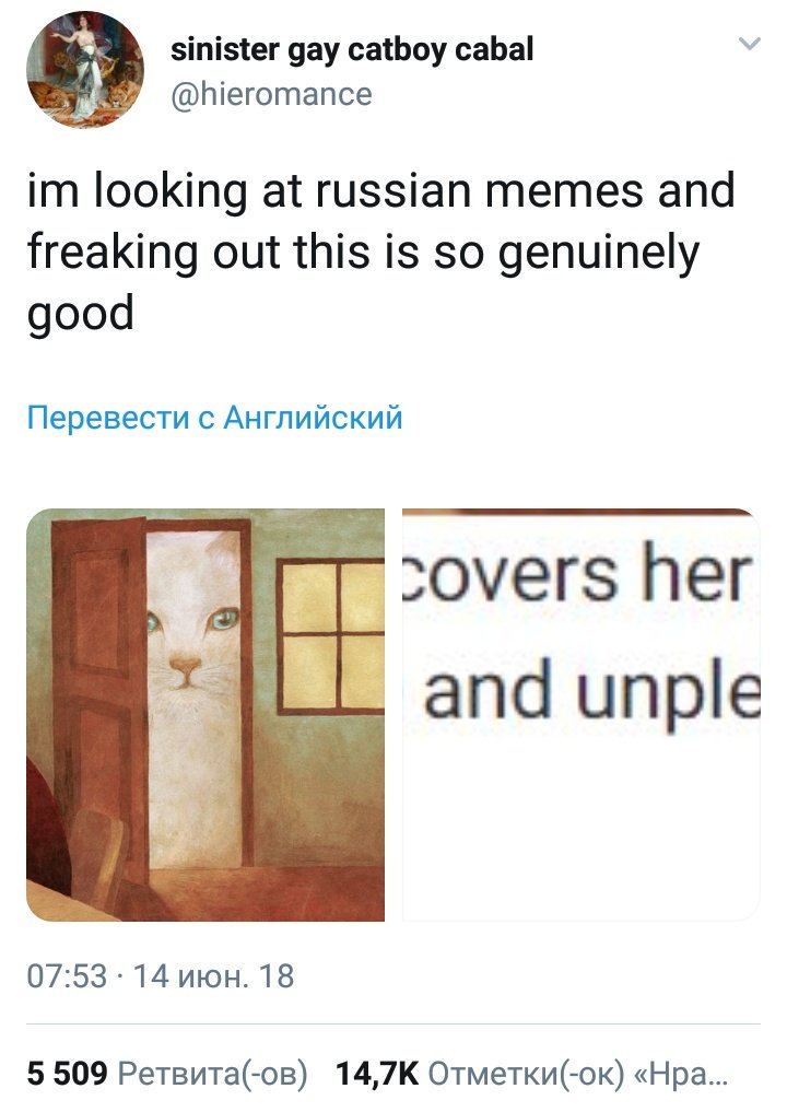 erichmarrria's tweet photo. интернет создавался ради этого https://t.co/LHJw51YYoa