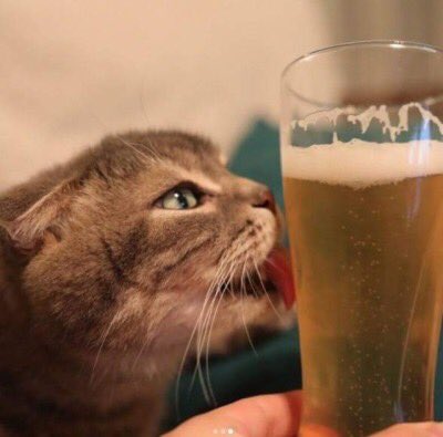acidpan1c's tweet photo. queria estar assim com a cerveja que eu gosto https://t.co/26rFRF3N0I