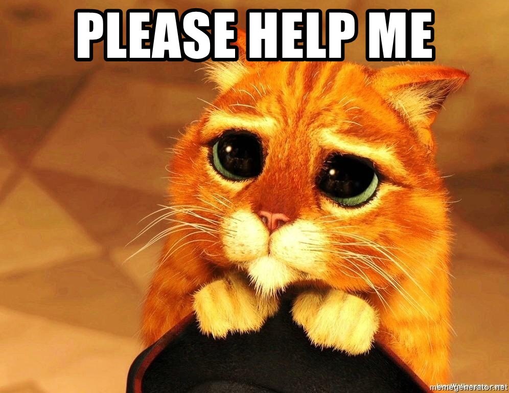 Youth on Record tweet media