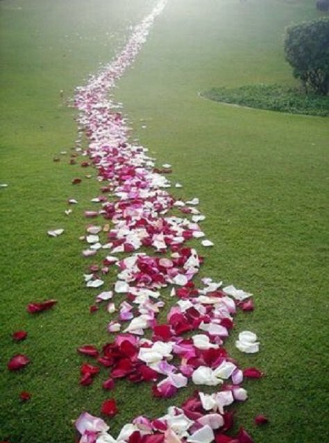 مليووووون مبروك
اسال الله ان يجعلهم شاهدين لك بالخير <a href="/1M00O/">m</a>  💐#مليونيه_مهره_في_عام_زايد