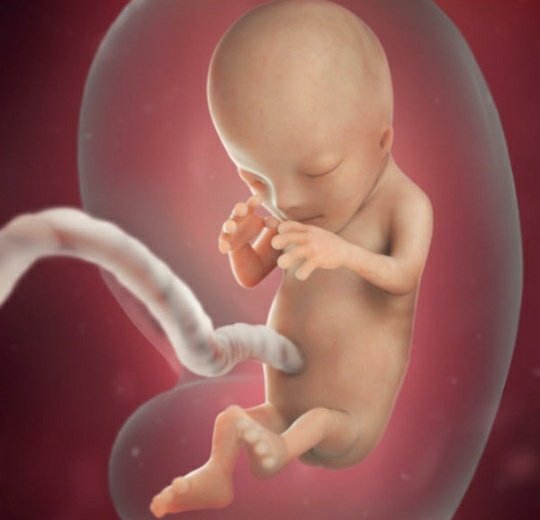spooksink's tweet photo. #AbortoLegalChile lo que los pro aborto clandestino creen que se aborta// lo que realmente se aborta https://t.co/IDVz72qcqS