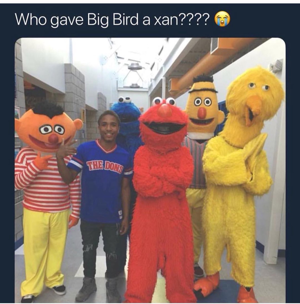 WORLDSTAR's tweet photo. Big Bird lit 😂 https://t.co/jAzPc8ESm5