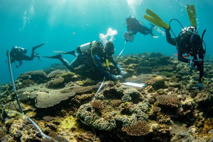 abcperth's tweet photo. Ningaloo Reef: Researchers find low amounts of rubbish and waste at World Heritage listed marine park
https://t.co/TNg1qAZvyh https://t.co/CPSkdkhTv8