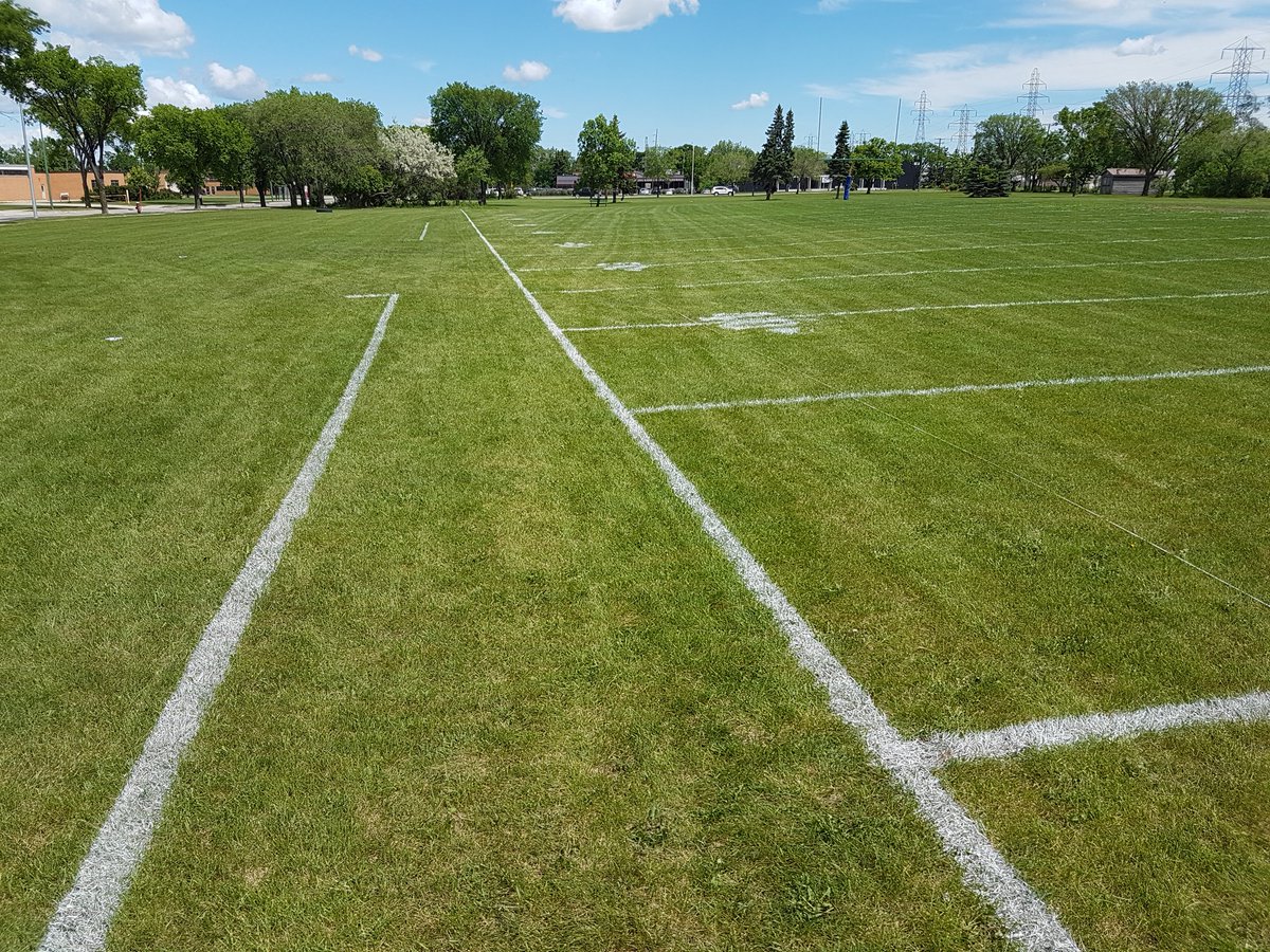 PITFOOTBALL's tweet photo. Frank Whyte was lined by @ApexLining this weekend.  Impeccable job as always.
#TheBest #OnlyInThePIT https://t.co/TQ9jWcvcNE