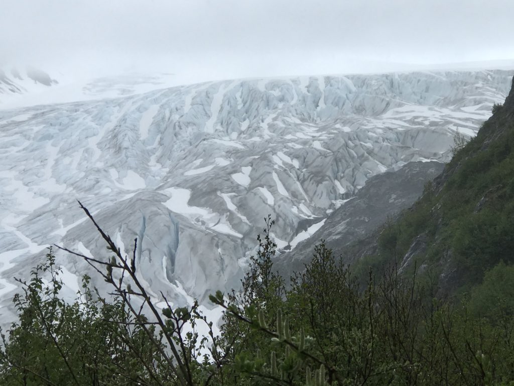 AngGrll's tweet image. To get to the glacier requires hiking up to it. Exhausted-Worth it. #Alaska @gadventures