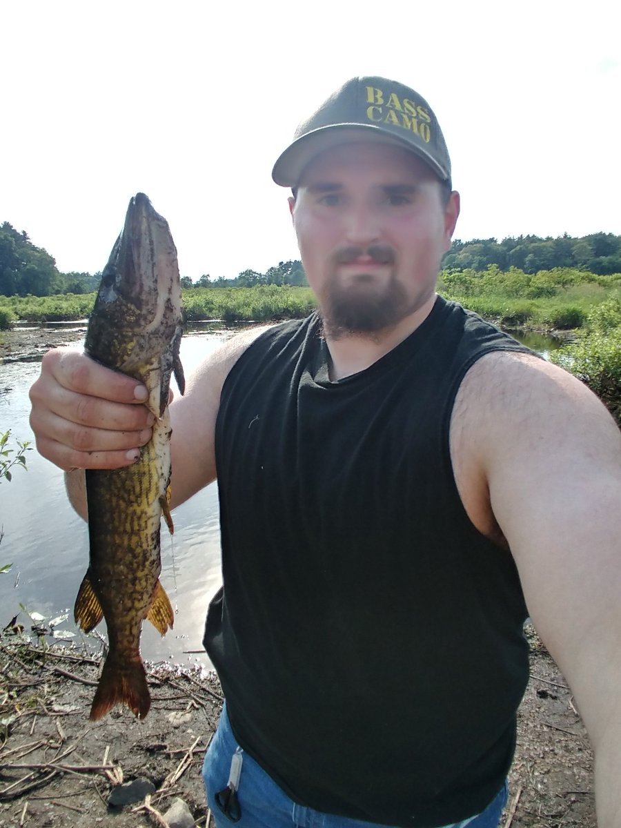 Fishing_LeeP's tweet photo. Even tho #roostertails are tiny they seem to be able to catch anything. Decent pickerel from the Charles on this sunny day. @BassCamo hat keeping the rays out of my eyes. https://t.co/t19kUFP52b