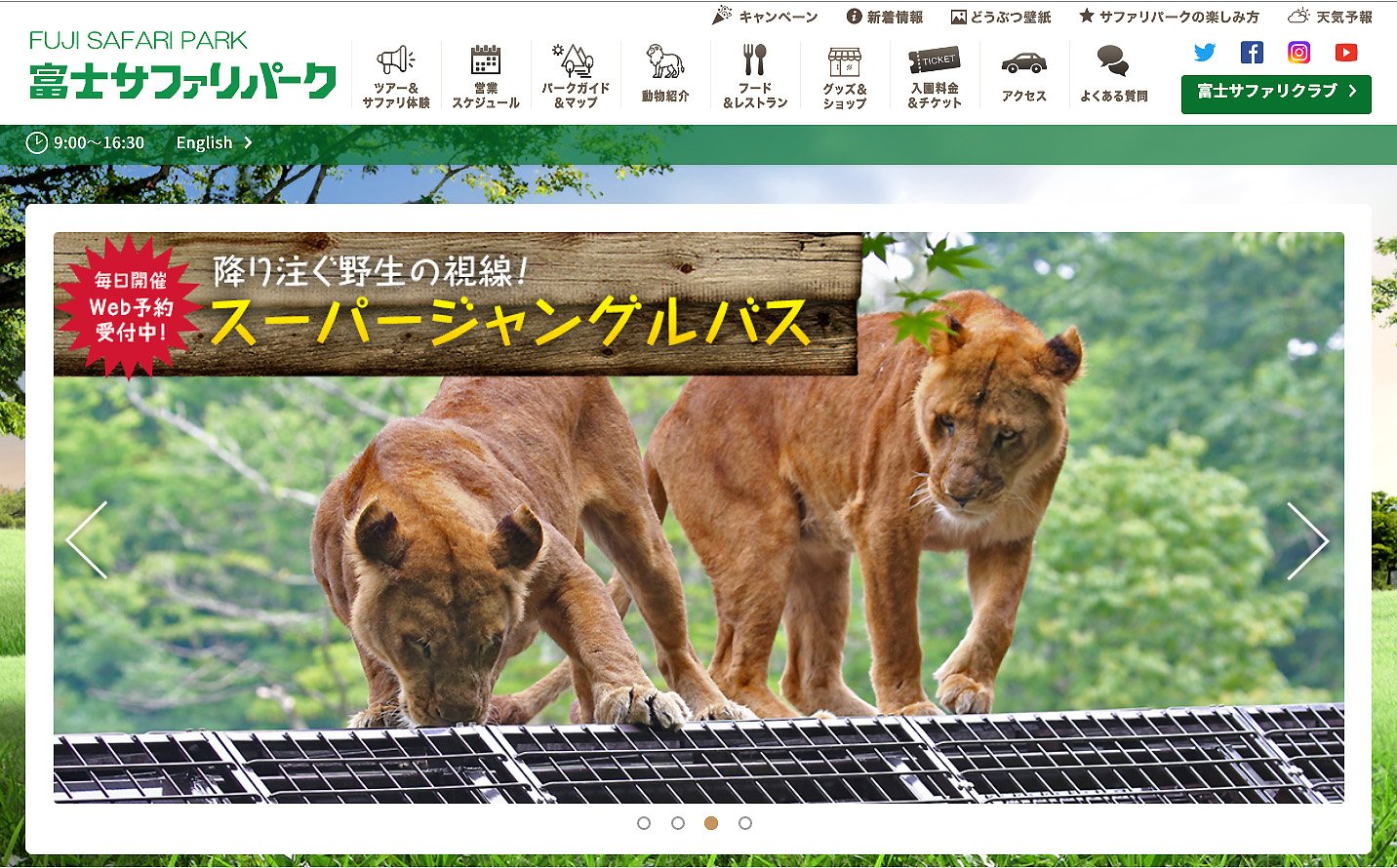 富士サファリパーク公式 動物情報だけでなく 限定ツアーやイベント情報も紹介している公式webサイト ちょっと覗いてみてください O T Co Hypvfpbgnv 富士サファリパーク スーパージャングルバス T Co 2bqul3yvlb Twitter