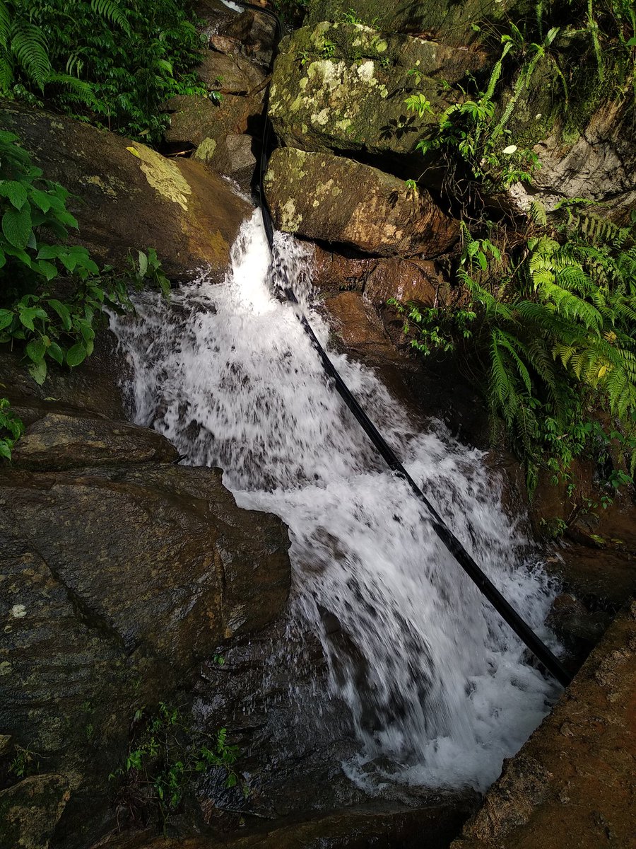 iDineshRS's tweet photo. Kodagu, one of best place.. If you go for view you will enjoy it..
#croog #madikeri
#travel #traveling #vacation #visiting #instatravel #instago #instagood #trip #holiday #reallife #travelling #tourist #instapassport #instatraveling #mytravelgram #travelgram #travelingram https://t.co/9Gm2RDtkuI