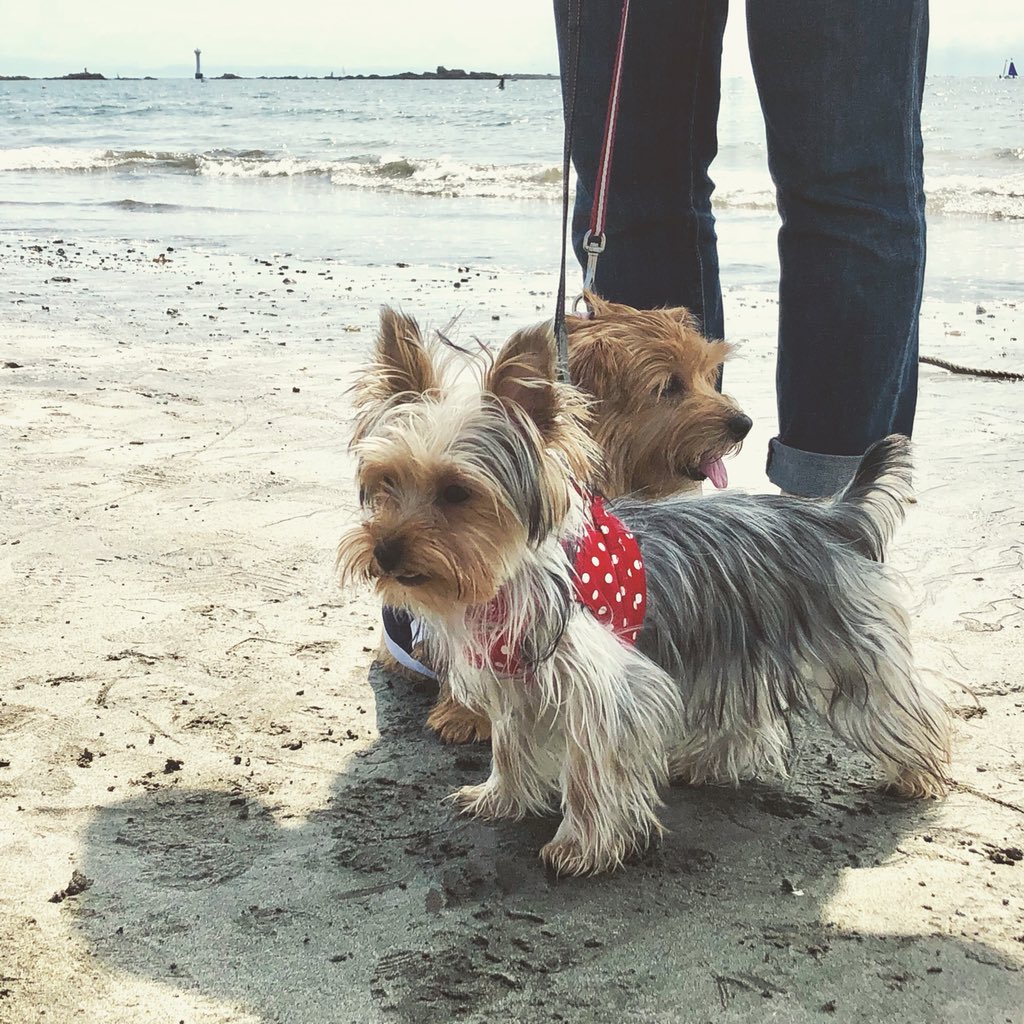 ayurion's tweet image. 