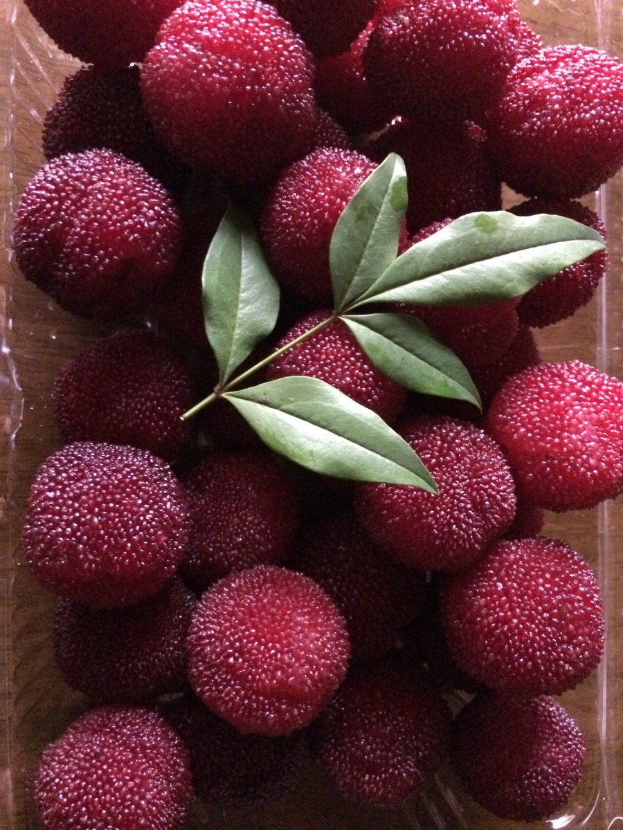 Green Pepper V Twitter 街路樹にヤマモモを使ってるのは今日他の方にも教えてもらったのですが 初耳でした 街路樹 なら別に取っても構わないんじゃないかなと思いますが 分かりません 実が落ちると結構汚いしかえって取った方がいいような気もするし 是非ご