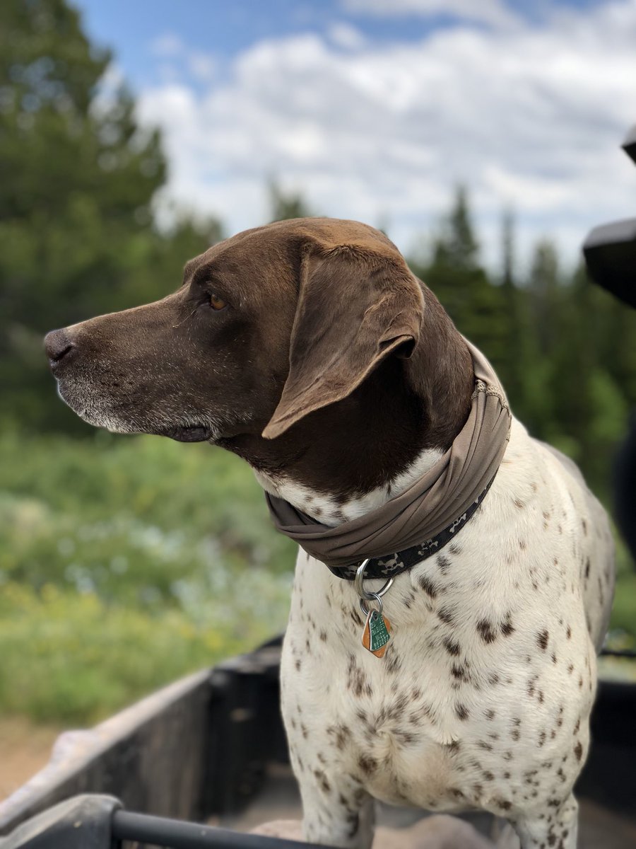 JDS404's tweet photo. Spent Saturday in the high country. Nature has a way of showing you how to slow down. https://t.co/Ifd2LbO8UA