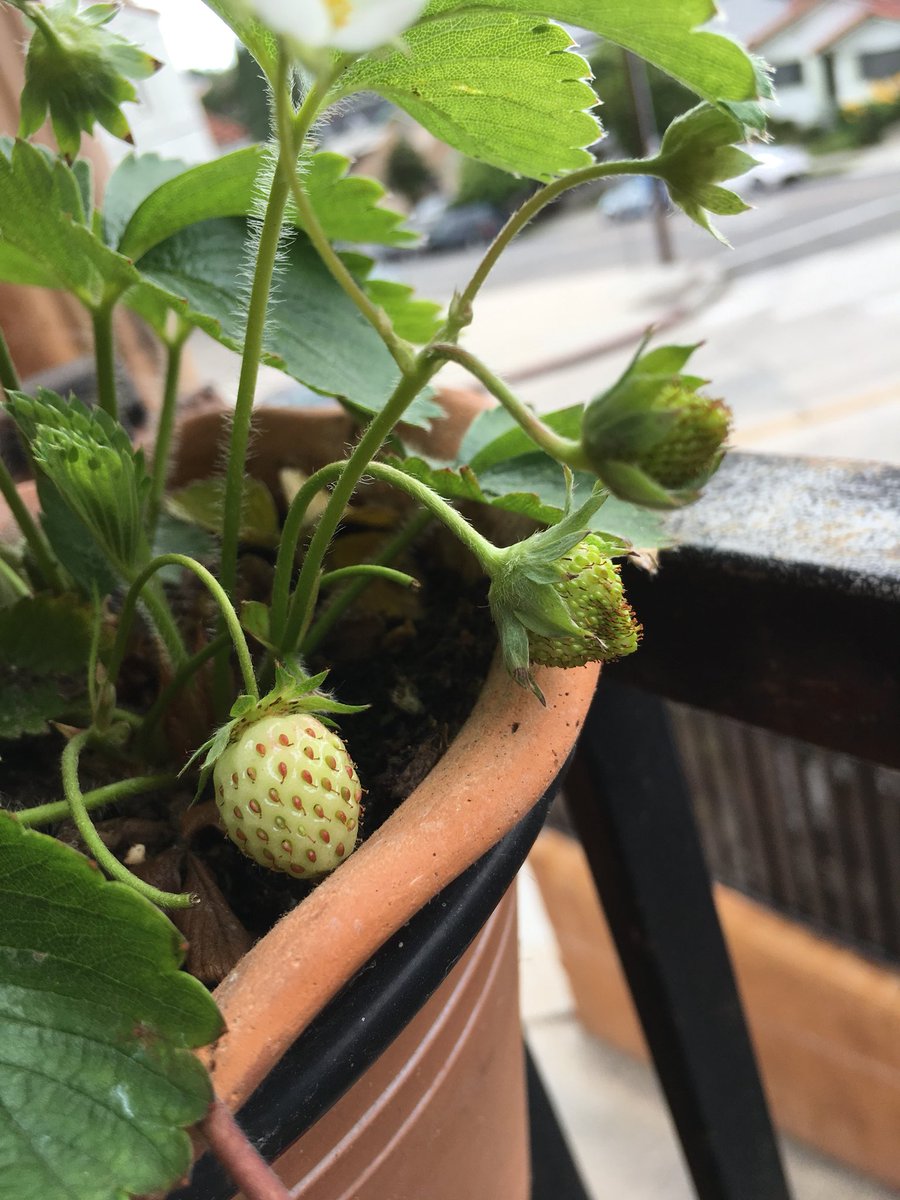 md.nd.ap tweet media